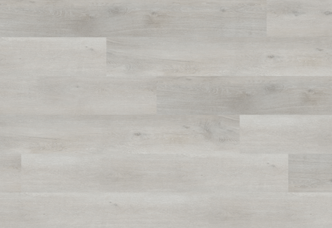 Oak silvarctic